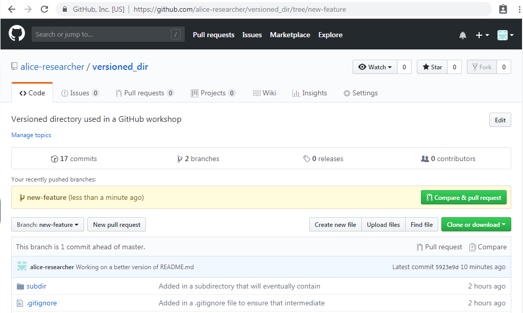 Image of GitHub pull request
